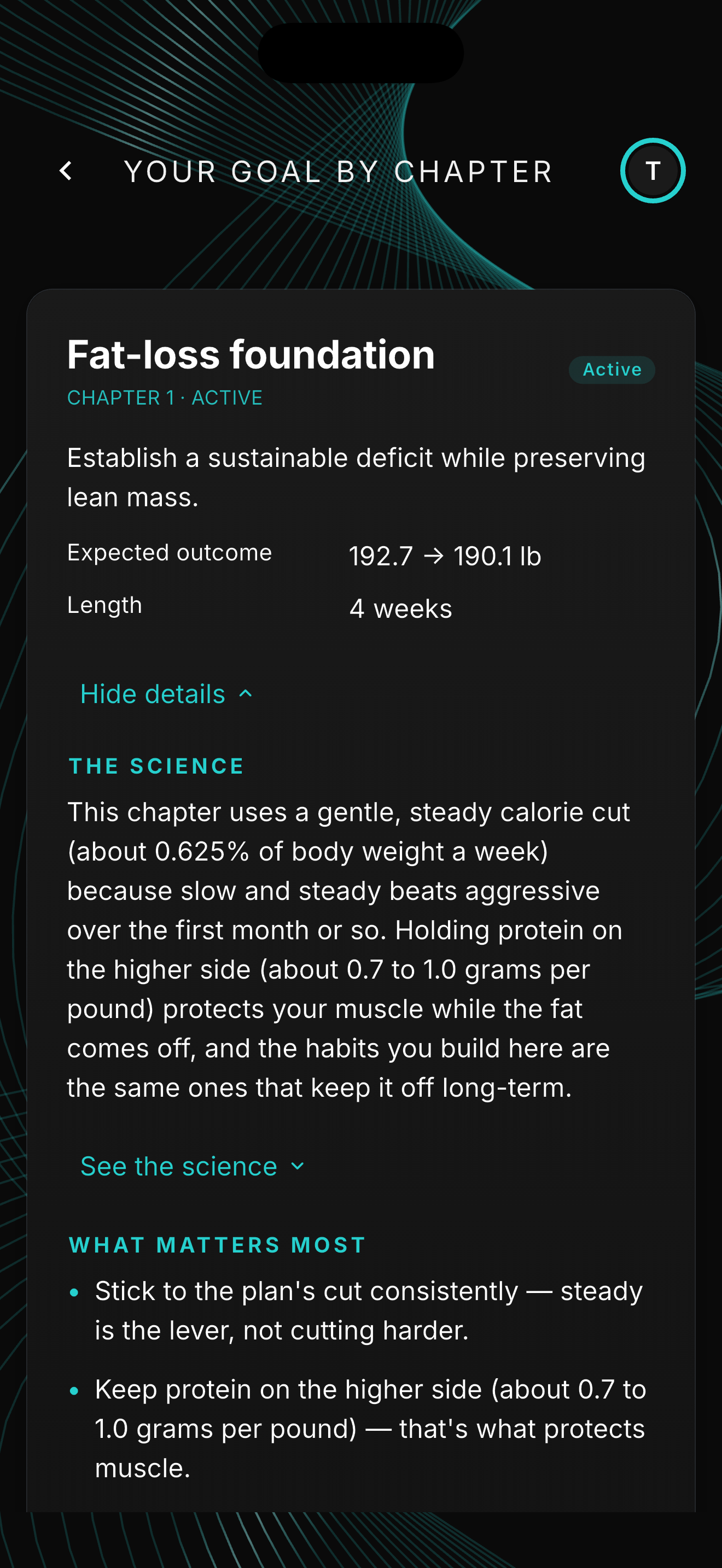 QBod goal plan with chaptered, multi-phase AI-generated targets